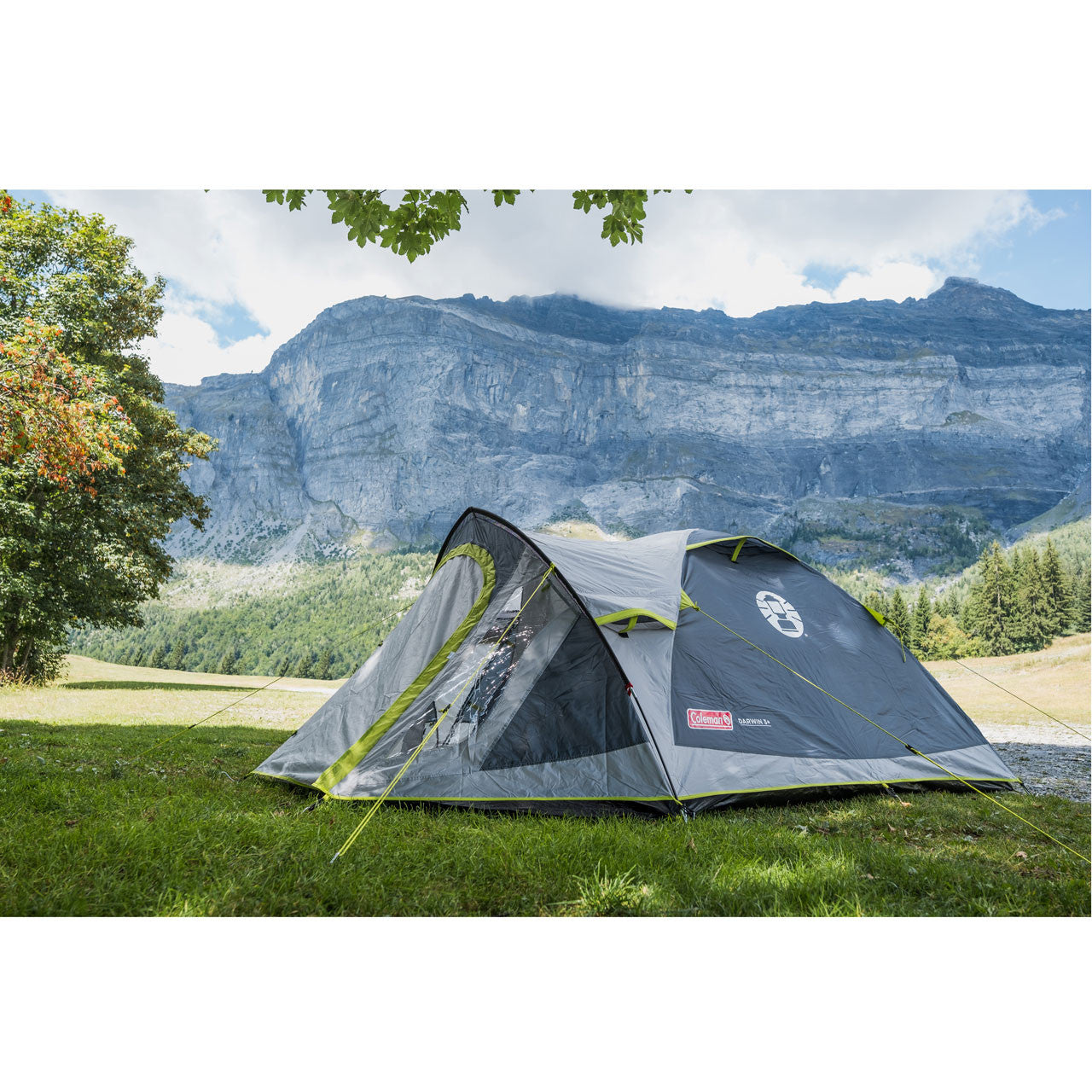 Coleman Darwin 3 Plus Poled Tent from Camperite Leisure - In Stock